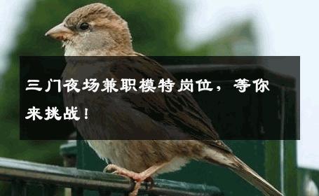 三门夜场兼职模特岗位，等你来挑战！