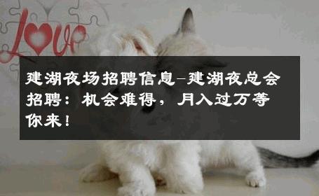 建湖夜场招聘信息-建湖夜总会招聘：机会难得，月入过万等你来！