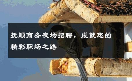 抚顺商务夜场招聘，成就您的精彩职场之路