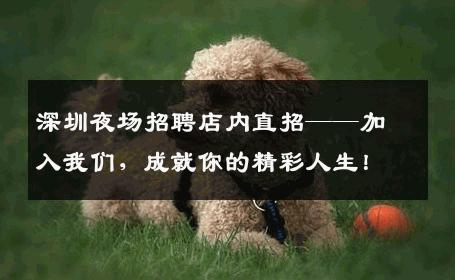 深圳夜场招聘店内直招——加入我们，成就你的精彩人生！