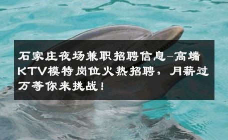 石家庄夜场兼职招聘信息-高端KTV模特岗位火热招聘，月薪过万等你来挑战！