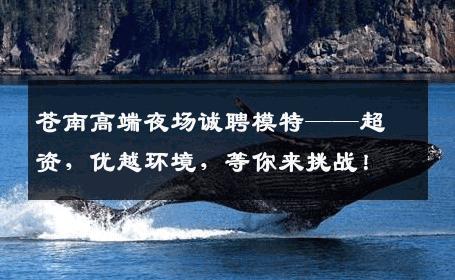 苍南高端夜场诚聘模特——超资，优越环境，等你来挑战！