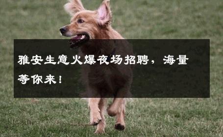 雅安生意火爆夜场招聘，海量等你来！