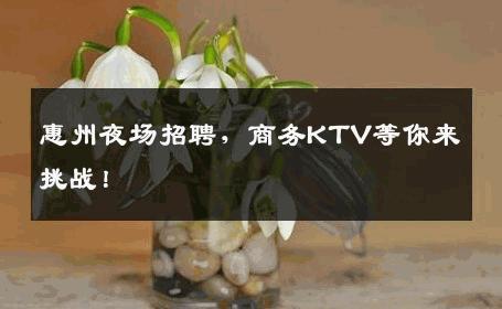 惠州夜场招聘，商务KTV等你来挑战！