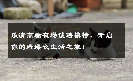 乐清高端夜场诚聘模特，开启你的璀璨夜生活之旅！