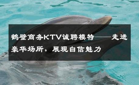 鹤壁商务KTV诚聘模特——走进豪华场所，展现自信魅力