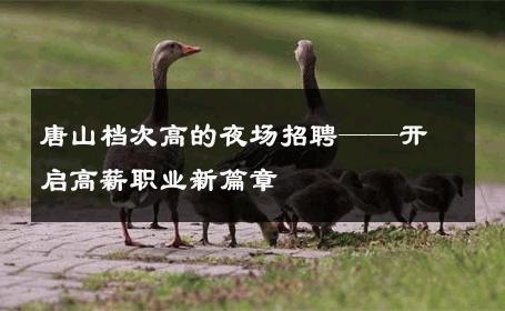 唐山档次高的夜场招聘——开启高薪职业新篇章