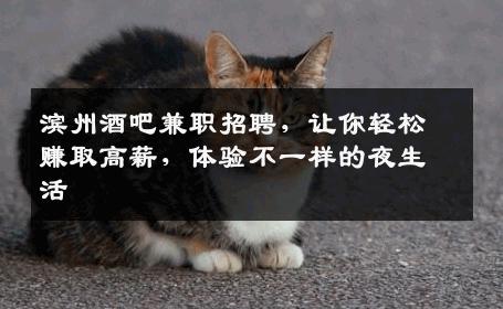 滨州酒吧兼职招聘，让你轻松赚取高薪，体验不一样的夜生活