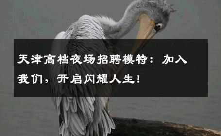 天津高档夜场招聘模特：加入我们，开启闪耀人生！