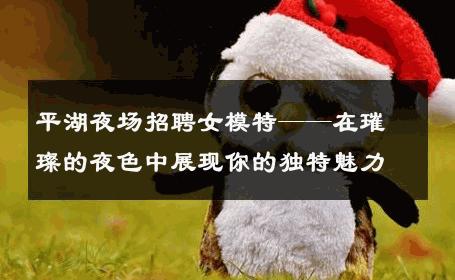 平湖夜场招聘女模特——在璀璨的夜色中展现你的独特魅力