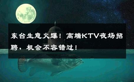 东台生意火爆！高端KTV夜场招聘，机会不容错过！