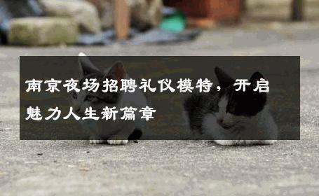 南京夜场招聘礼仪模特，开启魅力人生新篇章