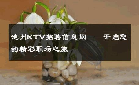 池州KTV招聘信息网——开启您的精彩职场之旅