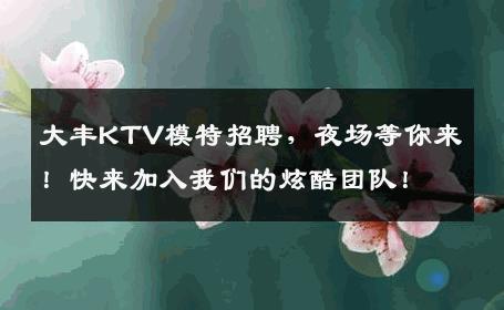 大丰KTV模特招聘，夜场等你来！快来加入我们的炫酷团队！