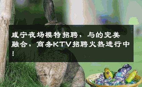 咸宁夜场模特招聘，与的完美融合，商务KTV招聘火热进行中！