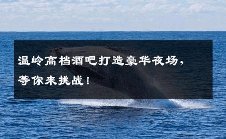温岭高档酒吧打造豪华夜场，等你来挑战！