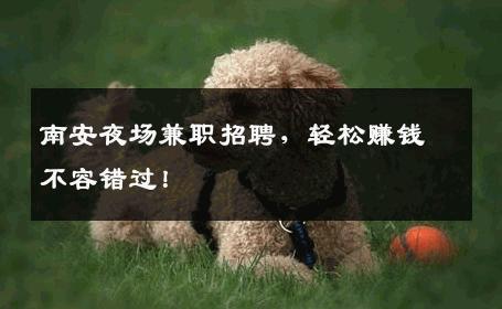 南安夜场兼职招聘，轻松赚钱不容错过！