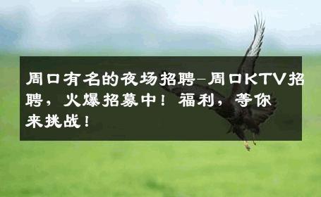 周口有名的夜场招聘-周口KTV招聘，火爆招募中！福利，等你来挑战！