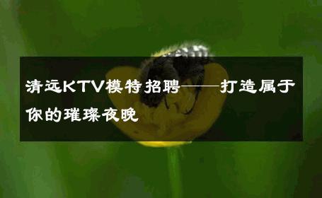 清远KTV模特招聘——打造属于你的璀璨夜晚