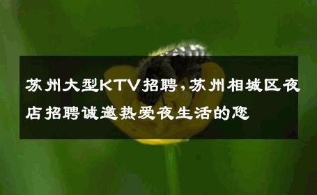苏州大型KTV招聘,苏州相城区夜店招聘诚邀热爱夜生活的您