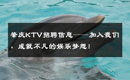 肇庆KTV招聘信息——加入我们，成就不凡的娱乐梦想！