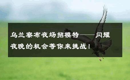 乌兰察布夜场招模特——闪耀夜晚的机会等你来挑战！