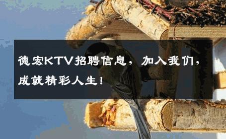 德宏KTV招聘信息，加入我们，成就精彩人生！