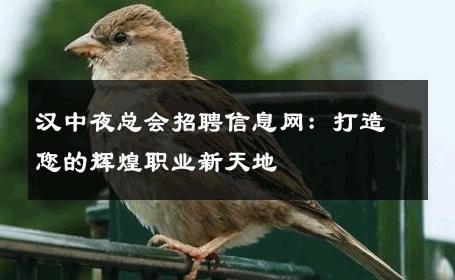 汉中夜总会招聘信息网：打造您的辉煌职业新天地