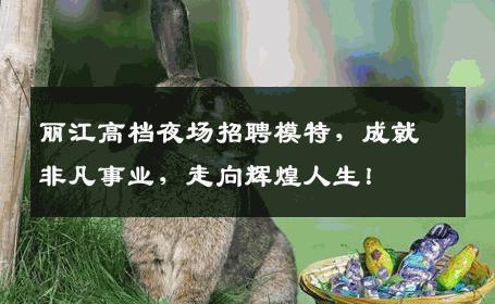 丽江高档夜场招聘模特，成就非凡事业，走向辉煌人生！