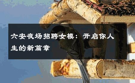 六安夜场招聘女模：开启你人生的新篇章