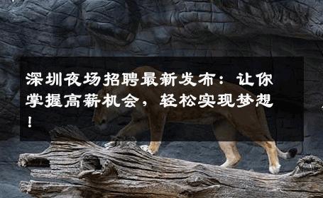 深圳夜场招聘最新发布：让你掌握高薪机会，轻松实现梦想！