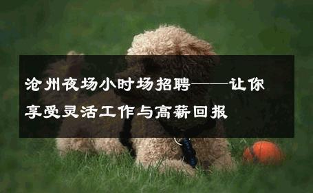 沧州夜场小时场招聘——让你享受灵活工作与高薪回报