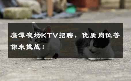 鹰潭夜场KTV招聘，优质岗位等你来挑战！
