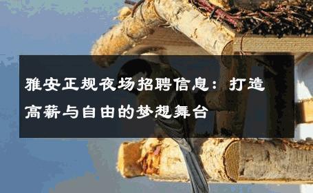 雅安正规夜场招聘信息：打造高薪与自由的梦想舞台