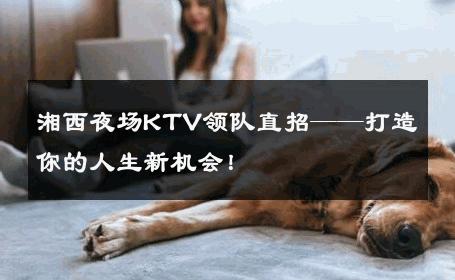 湘西夜场KTV领队直招——打造你的人生新机会！