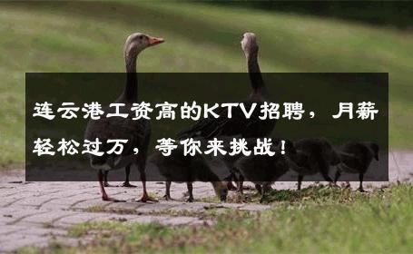 连云港工资高的KTV招聘，月薪轻松过万，等你来挑战！