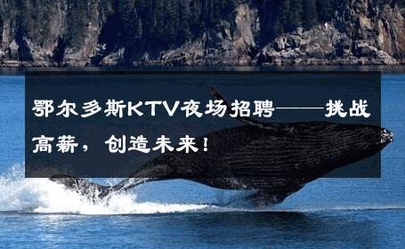 鄂尔多斯KTV夜场招聘——挑战高薪，创造未来！