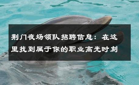 荆门夜场领队招聘信息：在这里找到属于你的职业高光时刻