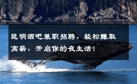 昆明酒吧兼职招聘，轻松赚取高薪，开启你的夜生活！