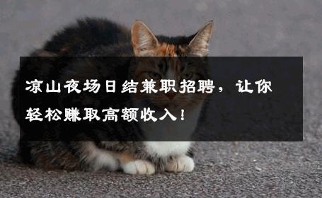 凉山夜场日结兼职招聘，让你轻松赚取高额收入！