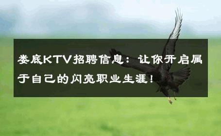 娄底KTV招聘信息：让你开启属于自己的闪亮职业生涯！