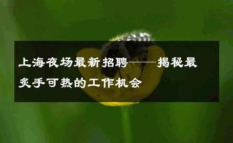 上海夜场最新招聘——揭秘最炙手可热的工作机会