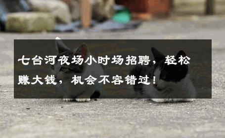 七台河夜场小时场招聘，轻松赚大钱，机会不容错过！