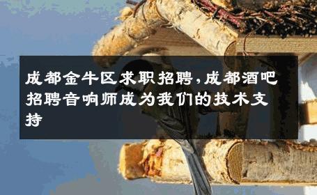成都金牛区求职招聘,成都酒吧招聘音响师成为我们的技术支持
