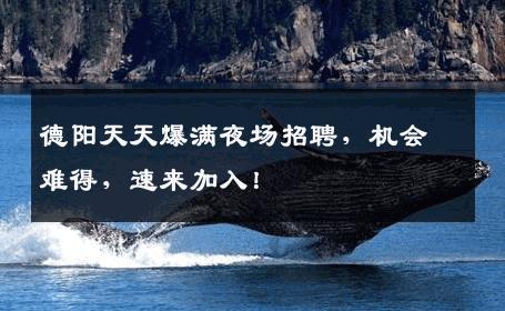 德阳天天爆满夜场招聘，机会难得，速来加入！