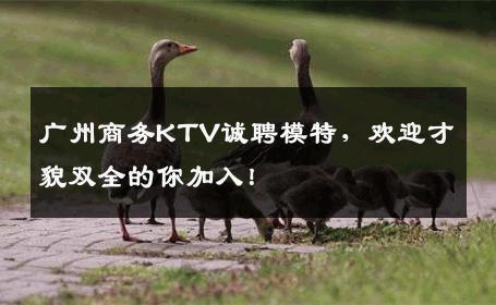 广州商务KTV诚聘模特，欢迎才貌双全的你加入！
