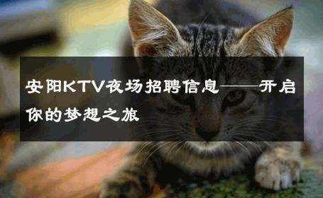 安阳KTV夜场招聘信息——开启你的梦想之旅