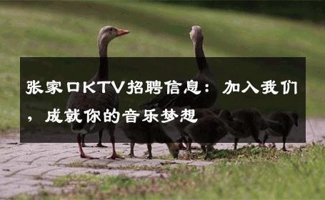 张家口KTV招聘信息：加入我们，成就你的音乐梦想