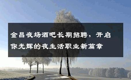金昌夜场酒吧长期招聘，开启你光辉的夜生活职业新篇章