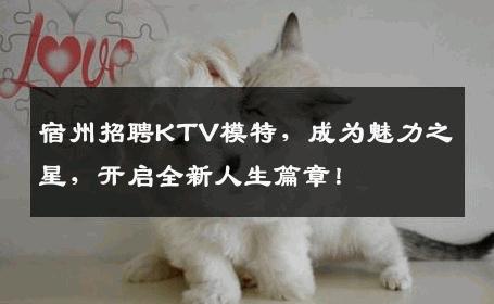 宿州招聘KTV模特，成为魅力之星，开启全新人生篇章！